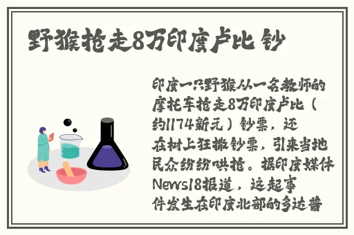 51吃瓜残忍